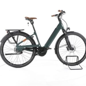 Liv Allure E+1 Trekking E-Bike Tiefeinsteiger