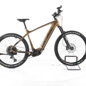 Corratec E-Power X-Vert Factory E-Bike