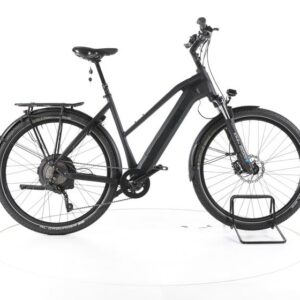 Wittich WIN10 Trekking E-Bike