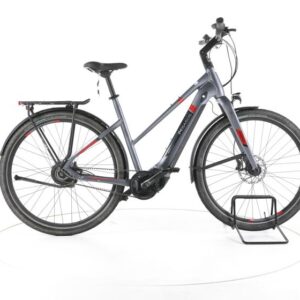 Pegasus Tecaro EVO NV Belt Trekking E-Bike