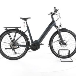 Winora Yucatan 10 Trekking E-Bike Tiefeinsteiger