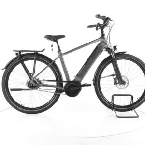 Raleigh Bristol XXL City E-Bike