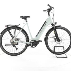 Raleigh Preston 11 Trekking E-Bike Tiefeinsteiger