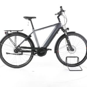 Victoria eTrekking 11.3 City E-Bike