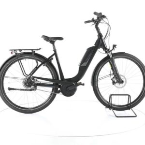 FALTER E 9.0 RT City E-Bike Tiefeinsteiger