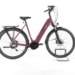 Raleigh Kent 9 Trekking E-Bike Tiefeinsteiger