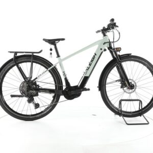 Raleigh Dundee 11 Trekking E-Bike