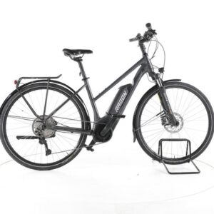 Radon SOLUTION HYBRID 7.0 Trekking E-Bike