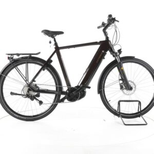 Victoria eTrekking 12.8 Trekking E-Bike