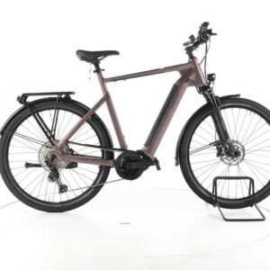 Carver Route E.540 Trekking E-Bike