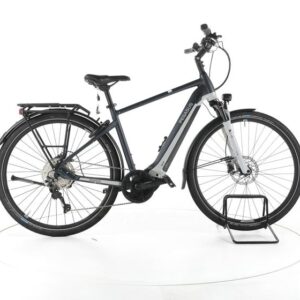Pegasus Premio EVO 10 Lite Trekking E-Bike