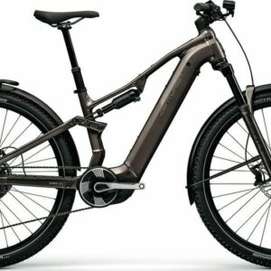 E-Bike Centurion Lhasa R1000 800 Wh 2026 M_Grau frei Haus