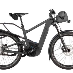 Riese & Müller Delite5 Pinion 800 Wh Herren grau 2026