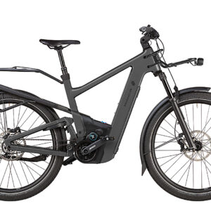 Riese & Müller Delite5 GT Pinion 800 Wh grau