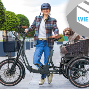 Blaupunkt MINNA® E-Trike (Versandrückläufer, unbenutzt wie neu)