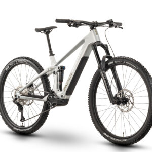 Raymon AIROK - 29" 400 Wh - Silver Stealth/Taupe