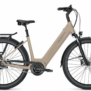 Flyer G1 Gotour 7.23 750 Wh Damen Trapez grün 2026