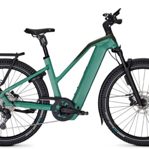 Kalkhoff ENTICE 5+ EXCITE ABS TRAPEZ - 29" 800 Wh - mineralgreen/huntsmengreen m...