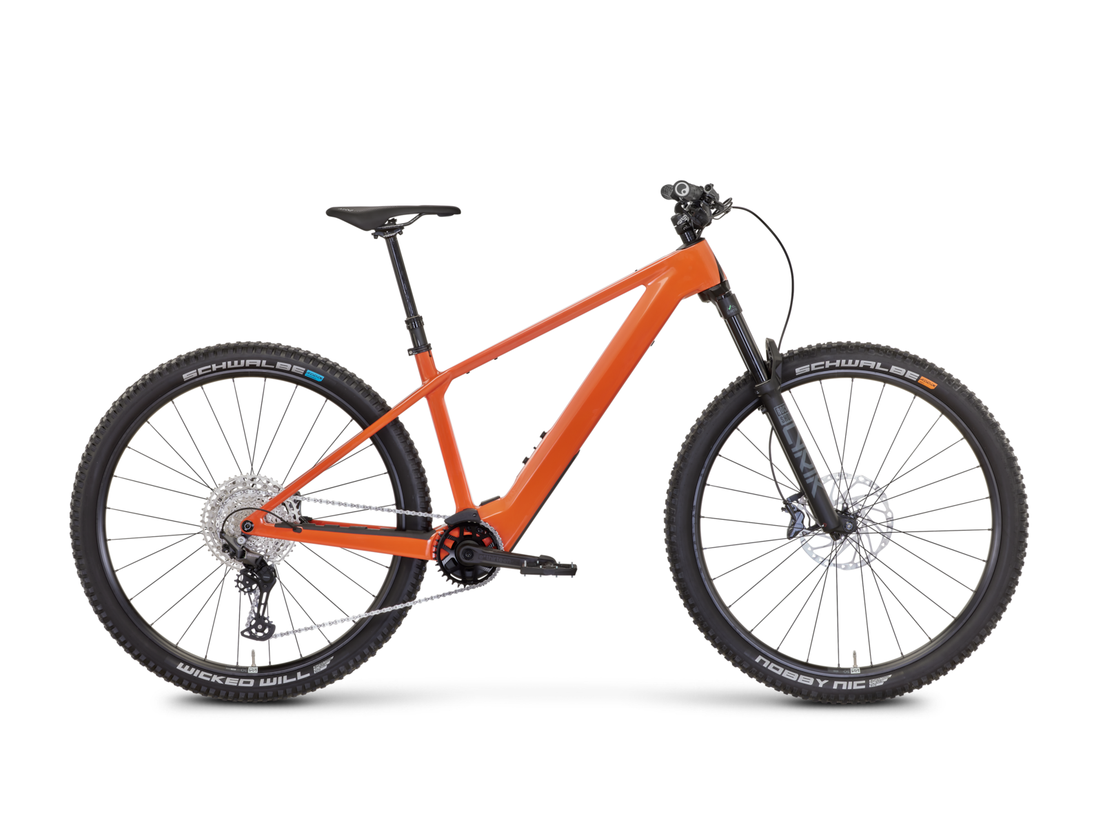Rose Bonero Plus 1