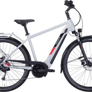 E-Bike  - Pegasus Solero Evo 9 Herren grau   - 45 cm