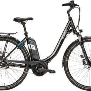 E-Bike  - Pegasus Ancura E8R Disc Wave   - 50 cm
