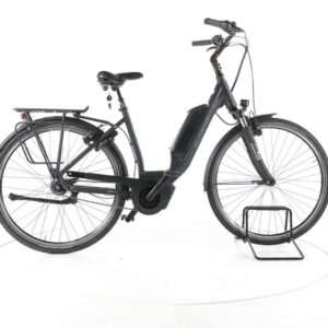 Gudereit EC 3 RT City E-Bike Tiefeinsteiger
