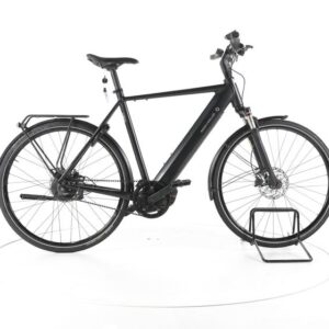Riese & Müller Roadster vario City E-Bike