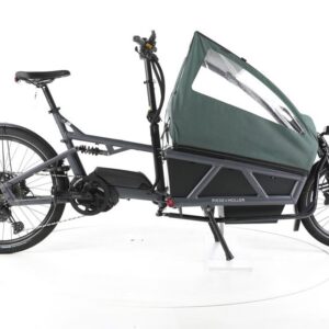 Riese & Müller Load 60 Touring