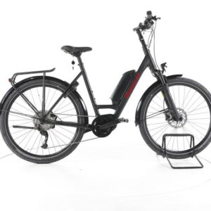 Diamant Zing+ Gen 1 Trekking E-Bike Tiefeinsteiger