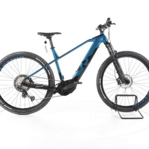 R Raymon Hardray E Nine 8 E-Bike