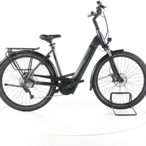 Pegasus Strong EVO 10 Trekking E-Bike Tiefeinsteiger