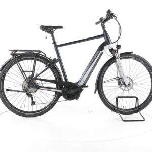 Pegasus Pemio Evo10 Lite Trekking E-Bike