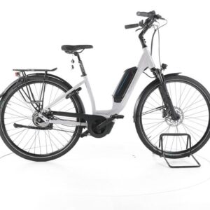 Gudereit EC-5.5 RT City E-Bike Tiefeinsteiger