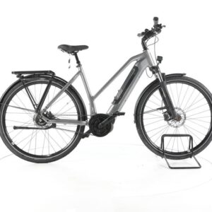 Rose Xtra Watt Plus 2 City E-Bike