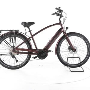 Electra Bicycle Townie Path Go! 10 EQ Trekking E-Bike