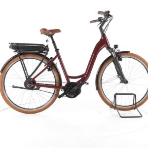 Riese & Müller Swing City E-Bike Tiefeinsteiger 2024