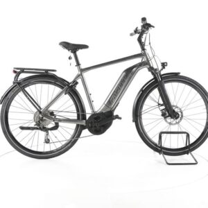 Giant Explore E+ 3 Trekking E-Bike
