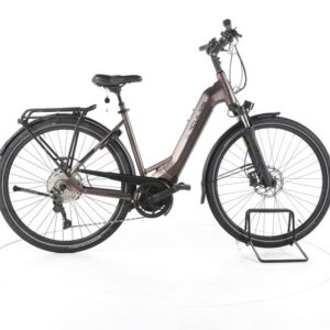 Hercules Pasero Sport I-10 Trekking E-Bike Tiefeinsteiger