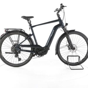 Pegasus Premio EVO 11 "40 Years" Trekking E-Bike