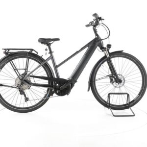 Pegasus Premio EVO 10 Lite Trekking E-Bike