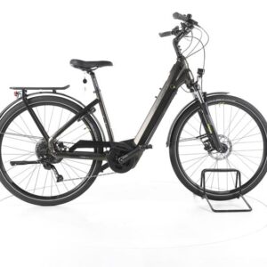 Centurion E-Fire City R760i Trekking E-Bike Tiefeinsteiger
