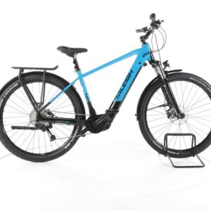Raleigh Dundee 9 Trekking E-Bike