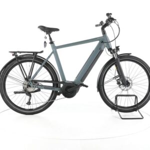 Winora Sinus 9 Trekking E-Bike
