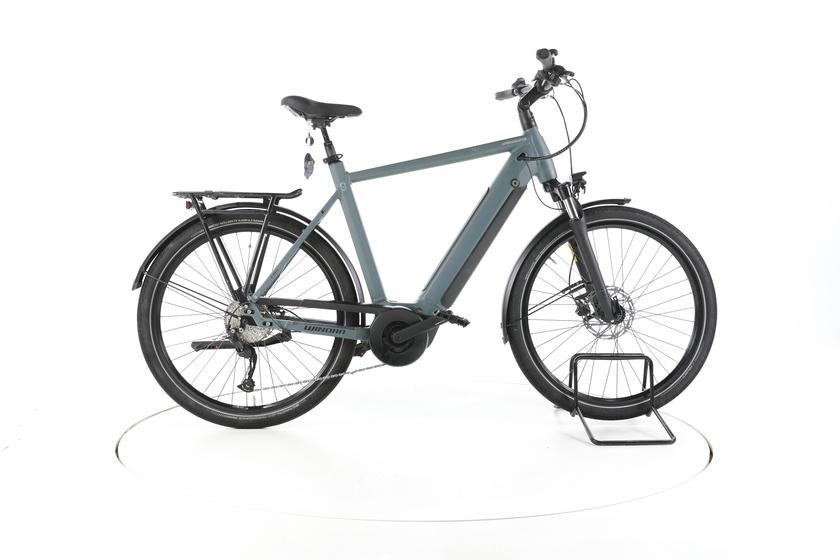 Winora Sinus 9 Trekking E-Bike