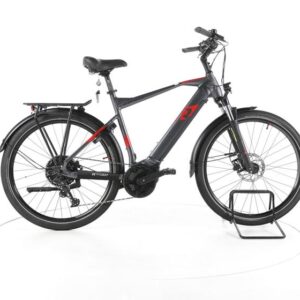 R Raymon Tourray E 6.0 Trekking E-Bike