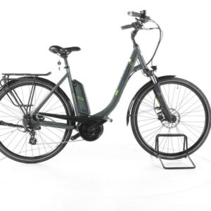 Triumph E-Bird Plus Trekking E-Bike Tiefeinsteiger