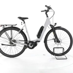 FALTER E 8.2 RT City E-Bike Tiefeinsteiger