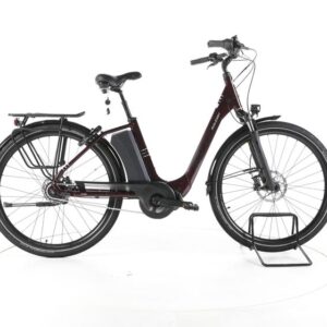 Raleigh Corby 8 XXL City E-Bike Tiefeinsteiger
