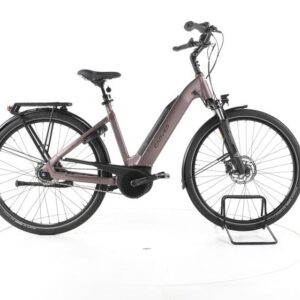 Carver Cityzen E.430 FL City E-Bike Tiefeinsteiger