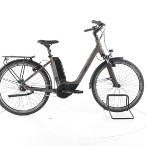 R Raymon CityRay E 2.0 City E-Bike Tiefeinsteiger